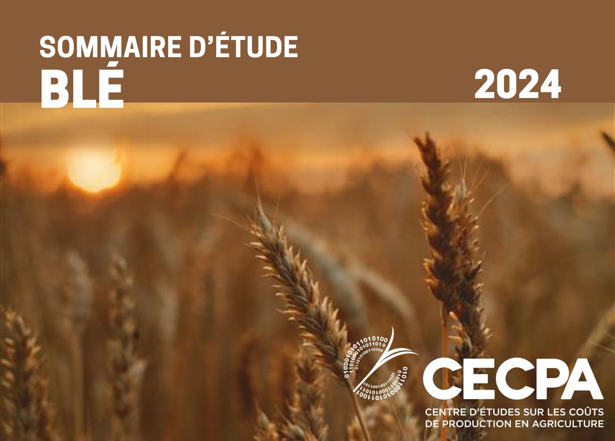 étude : SOMMAIRE - COÛT DE PRODUCTION - BLÉ 2024